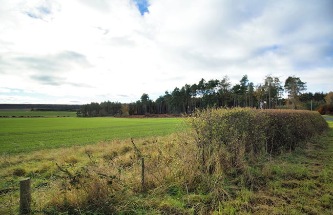 Accessible Bungalow - 4 Beds 2 Baths -dog Friendly - Foto 20