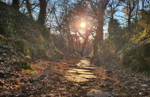 Residenza 1898 - Foto 53