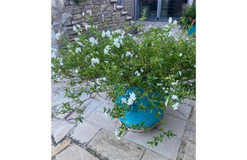 Foresteria San Leo - Foto 19