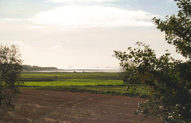 Cottage, Witsum - Foto 15