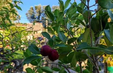 Casa Matreiro - Foto 57