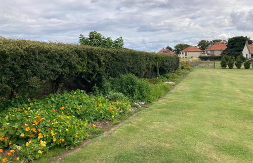 The Cedar Tiny House - Photo 27