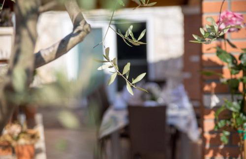 Villa Petra, Kaštelir - Foto 49