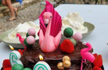 Le domaine du Moulin de Cors - Foto 45