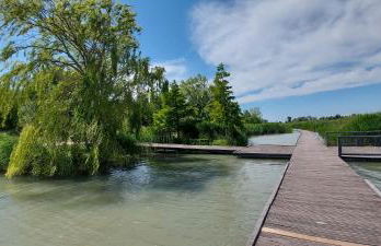 Beau studio Monteux, balcon vue Lac, près de Spirou Provence - Photo 67
