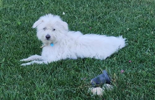 Assisi Sweet View - Photo 15