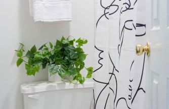 Rook's Corner - Foto 33