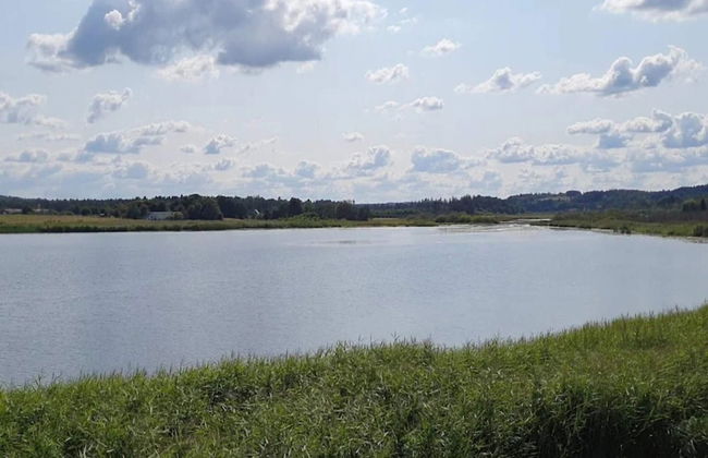 6 Person Holiday Home in Silkeborg - Foto 43