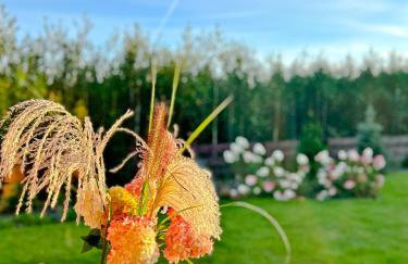 Szumiące Trawy w Borach Tucholskich-Nowa Sauna - Foto 41