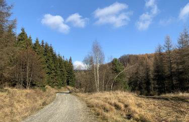 Trzy Domki Wysowa - Foto 16