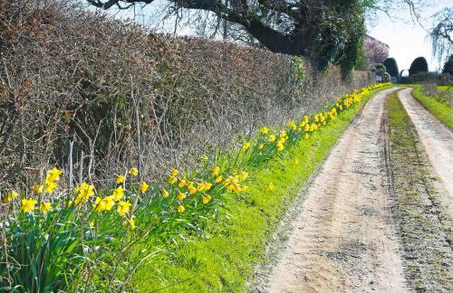 The Cart Shed - Foto 20