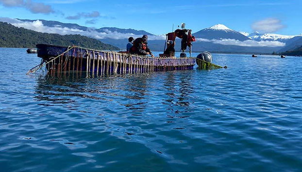Paisajes de la bahía de Hornopirén
