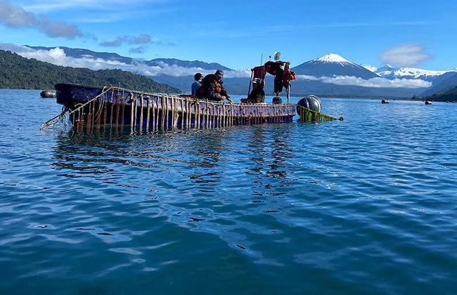 Tour dell'Isola dei Cervi in kayak - Foto 4