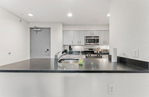 Beautiful 2BR in Southend Boston - Foto 54