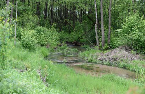 Agroturystyka w Dolinie Raty - Foto 45