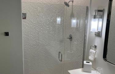 Lou-City Penthouse Suite! Savor Life with Hollyhock - Photo 24