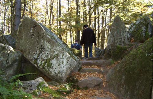 Ferienwohnung Fernblick - Foto 21