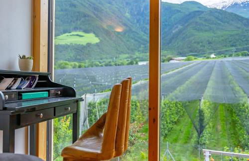 Biohof Gala - Foto 3