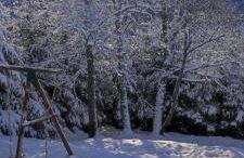 Le Cerf, chalet cocooning avec piscine et billard - Foto 35