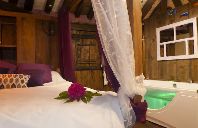 El Bosque de las Viñas - Foto 3