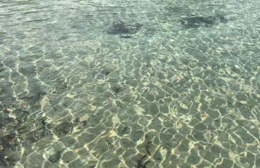 La casa al mare - Foto 29