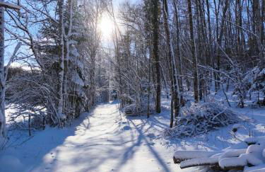 Chalet d'exception avec sauna - proche station du retord - Foto 31
