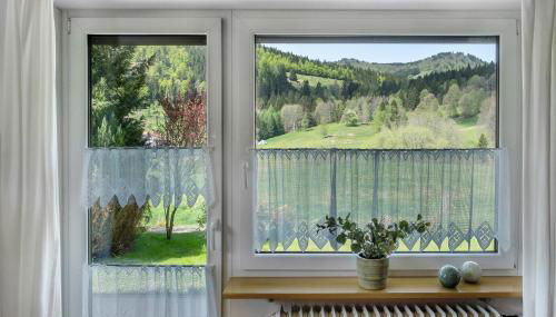 Aufblühen in Menzenschwand - Foto 3