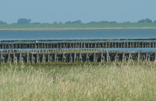 Ferienwohnung Kreider - Foto 6