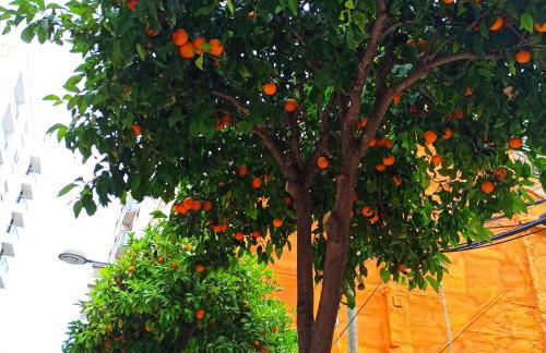 Azul del mar - Foto 70