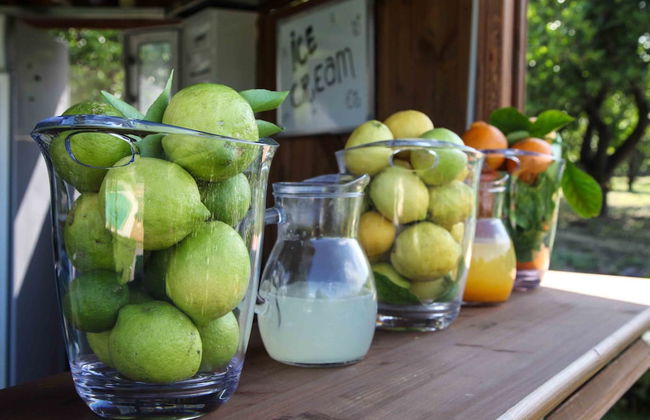 Agriturismo Galea - Foto 35