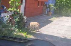 Gîtes chez Daniel "Provence" - Foto 17