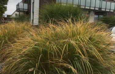 Ferienwohnung An Bord - Foto 20