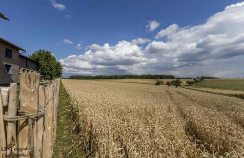 Ferienhaus Taubenhof - Foto 14