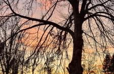 The Cottages - Pet Friendly - Photo 58