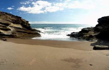 Avenue Study - Foto 11