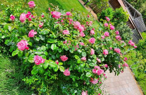 Villa Laffenau - Foto 14