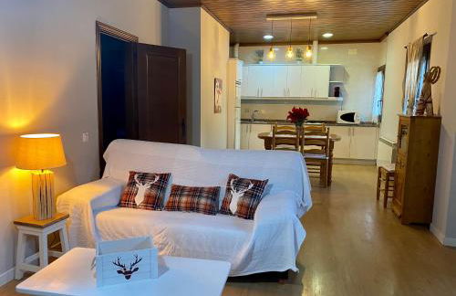 Apartaments Alta Muntanya - Foto 41