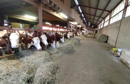 Gîte de la Diligence - Foto 25