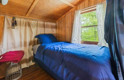 Pet-Friendly Cabin Retreat in the Ozarks of Scenic Newton County, Arkansas - Foto 17