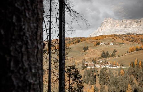 Apartments Roda de Ciar - Foto 51