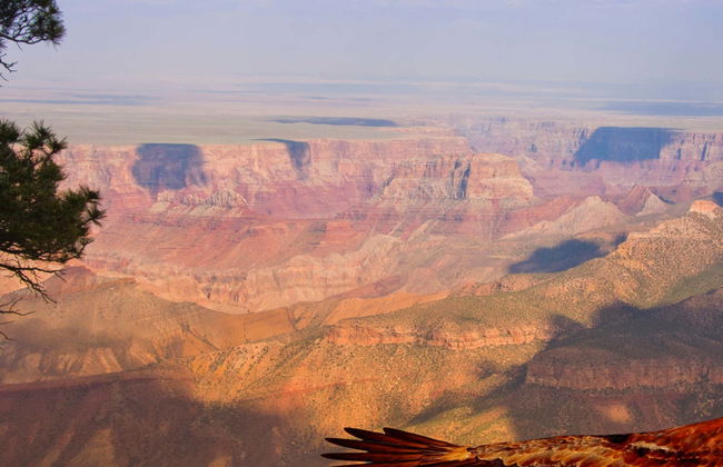 Billet pour le Grand Canyon West - Photo 1