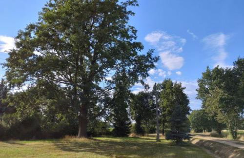 FeWo Wolfseiche - Foto 22