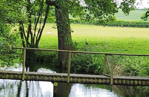 The Meadow - Foto 12