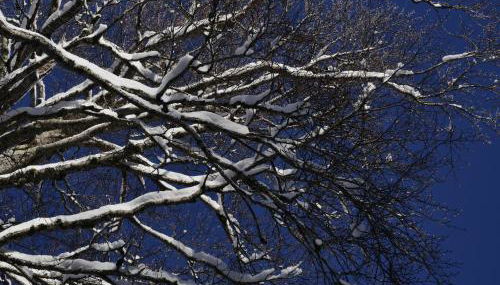 Le Case Nel Bosco Terminillo - Foto 4