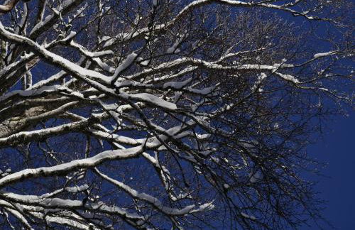 Le Case Nel Bosco Terminillo - Foto 4