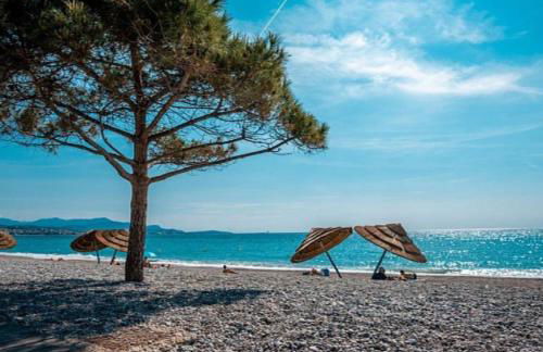 Appartement Vue sur la mer à 5 minutes des plages - Foto 18