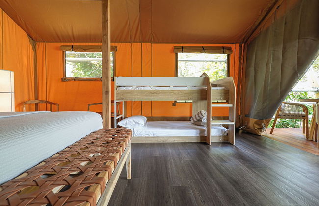 Daintree Beach Resort - Foto 10