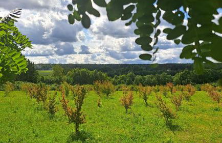 Mały Domek - Foto 13