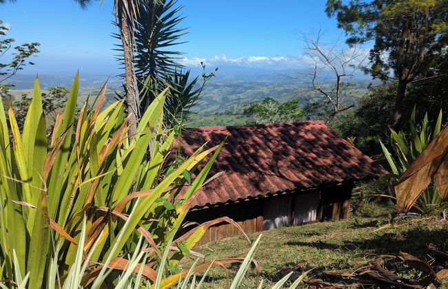 Campos de Oro Wilderness Lodge - Foto 35