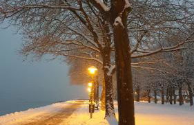 Ferienwohnung Starnberg - Photo 14